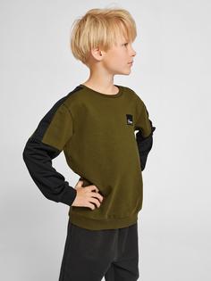 Rückansicht von hummel hmlEDWARD SWEATSHIRT Sweatshirt Kinder DARK OLIVE