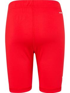 Rückansicht von hummel Tights Kinder TRUE RED