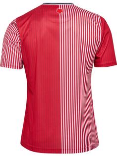 Rückansicht von hummel SOU 23/24 HOME JERSEY S/S Fanshirt Herren RED/WHITE