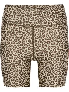 hummel hmlFAST MID WAIST TIGHT SHORTS Funktionsshorts Damen BOULDER