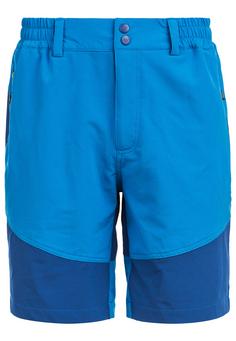 Whistler AVIAN M ACTIV STRETCH Shorts Herren 2062 Brilliant Blue