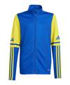 adidas Squadra 25 HalfZip Sweatshirt Kids Funktionssweatshirt Kinder - blaugelb