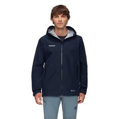 Rückansicht von Mammut GORE-TEX Hardshelljacke Herren marine