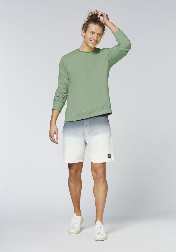 Chiemsee Chiemsee Sweatshirt Sweatshirt Herren - 17-6009 Laurel Wreath - 3 | SportScheck