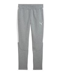 PUMA teamEVOSTRIPE Trainingshose Trainingshose Herren - grau