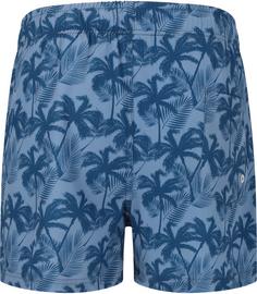 Rückansicht von Cruz Werner Boardshorts Kinder Print 3609 Blue Palm tree
