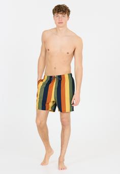 Rückansicht von Cruz Pieter Boardshorts Herren Print 3634 Yellow Stripe