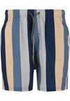 Cruz Pieter Badehose Herren - Print 3635 Grey Stripe