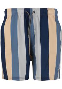 Cruz Pieter Badehose Herren - Print 3635 Grey Stripe