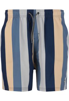 Cruz Pieter Boardshorts Herren Print 3635 Grey Stripe