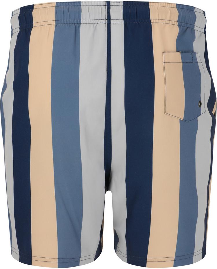 Cruz Cruz Pieter Badehose Herren - Print 3635 Grey Stripe - 0 | SportScheck
