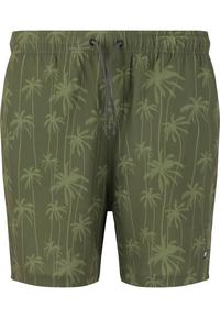 Cruz Rohan Badehose Herren - Print 3678 Green Palm