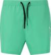 Virtus Smither Badehose Herren - 3246 Jade