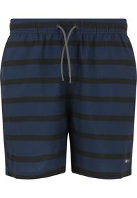 Cruz Danyel Badehose Herren - Print 3682 Navy Stripe