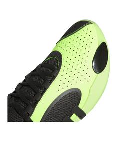 adidas D.O.N Issue 5 Hallenschuhe Herren gruenschwarz