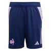 adidas Frankreich Gym Shorts Kinder Funktionsshorts Kinder - Dark Blue
