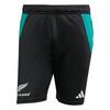 adidas All Blacks Gym Shorts Funktionsshorts Herren - All Black / Pure Teal