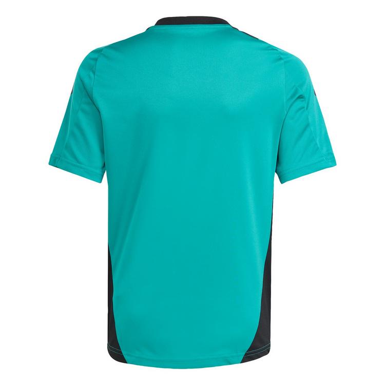 adidas adidas All Blacks Performance T-Shirt Kinder Funktionsshirt Kinder - Pure Teal - 0 | SportScheck