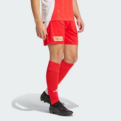 Rückansicht von adidas 1. FC Union Berlin 24/25 Heimshorts Fußballshorts Herren Vivid Red / White