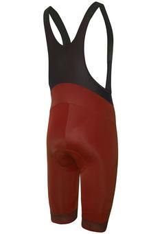 Rückansicht von RH+ Prime Evo Bibshort Bibtights Herren burned