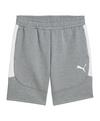 PUMA teamEVOSTRIPE Short Fu&szlig;ballshorts Herren - grau