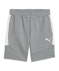PUMA teamEVOSTRIPE Short Fußballshorts Herren grau