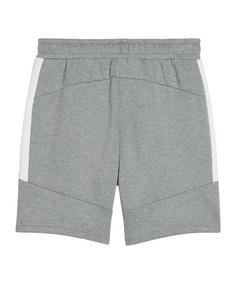 Rückansicht von PUMA teamEVOSTRIPE Short Fußballshorts Herren grau