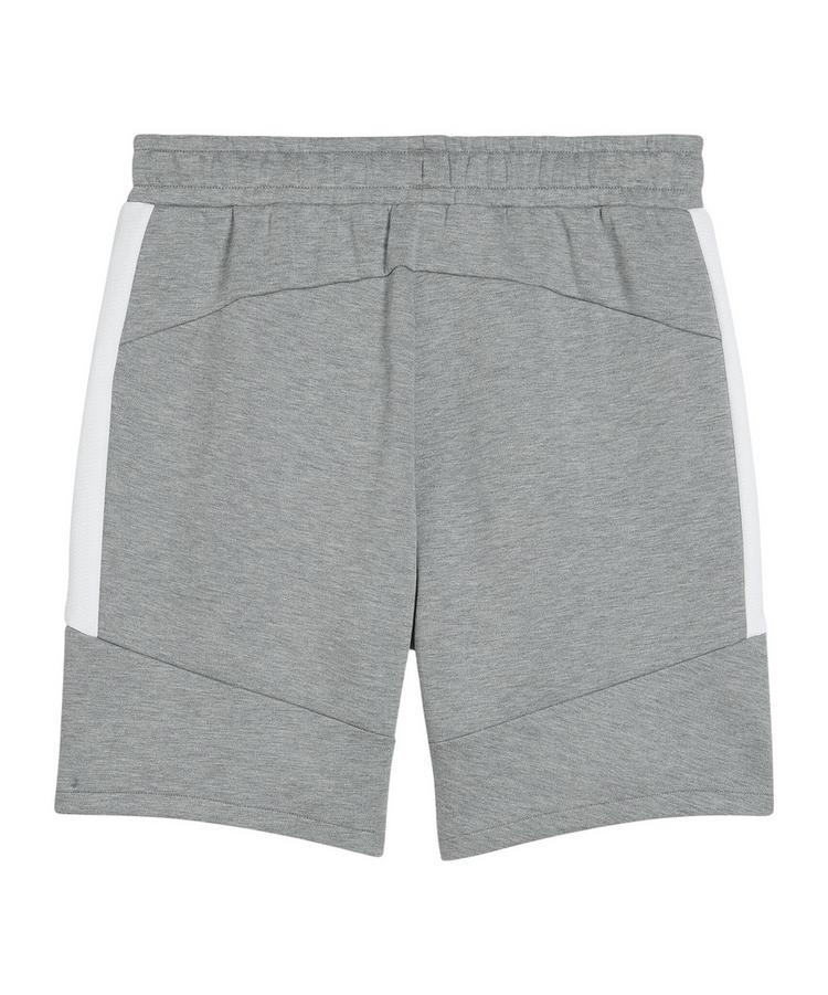 PUMA PUMA teamEVOSTRIPE Short Fu&szlig;ballshorts Herren - grau - 0 | SportScheck