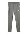 PUMA teamCUP Trainingshose Trainingshose Herren - grau