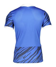 Rückansicht von Nike Dry NE GX2 Trikot Fußballtrikot Herren weisssilberblau