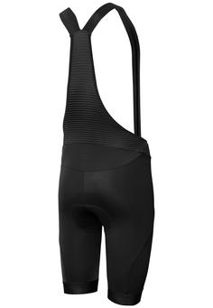 Rückansicht von RH+ Cruiser Bibshort Bibtights Herren black
