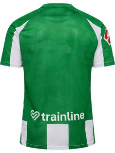 Rückansicht von hummel Funktionsshirt FERN GREEN/WHITE