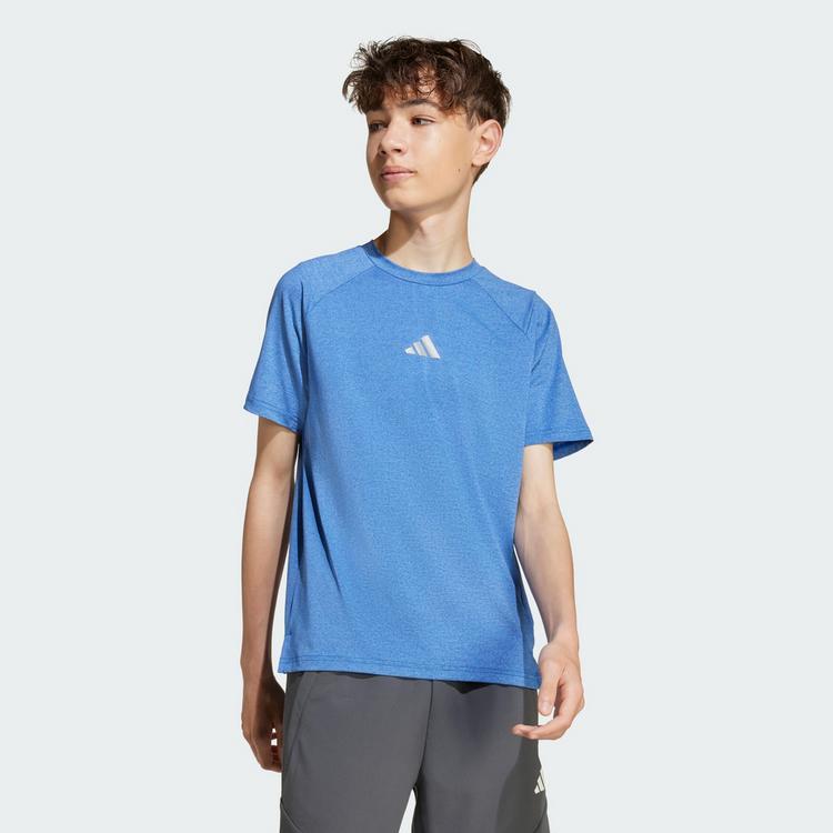 adidas adidas T-Shirt Kinder - team royal blue-blue fusion - 0 | SportScheck