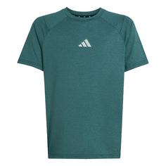 adidas All Sports Favorite Kids T-Shirt T-Shirt Kinder Aurora Ivy / Powder Teal / Reflective Silver