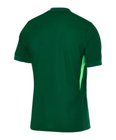 Rückansicht von Nike Trikot 2025/2026 Fußballtrikot gruen