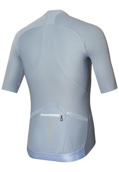 Rückansicht von RH+ Aria Jersey Fahrradtrikot Herren fog