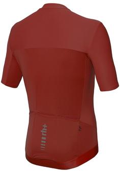 Rückansicht von RH+ Logo Jersey Fahrradtrikot Herren burned
