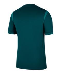 Rückansicht von Nike Nigeria Trikot Home 2025/2026 Fußballtrikot Herren gruengruen