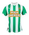 PUMA SK Rapid Wien Trikot Heim 2025/2026 Kids Trikot Kinder - gruen