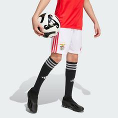 Rückansicht von adidas Benfica Lissabon 25/26 Kids Heimshorts Funktionsshorts Kinder White