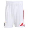 adidas Benfica Lissabon 25/26 Heimshorts Funktionsshorts Herren - White
