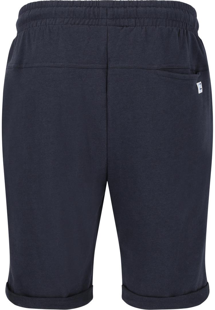 Cruz Cruz Swanson Funktionsshorts Herren - 2048 Navy Blazer - 0 | SportScheck