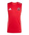 adidas 1. FC N&uuml;rnberg Tanktop T-Shirt - rotrot