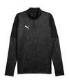 PUMA teamCUP Training 1/4 Zip Sweatshirt Funktionssweatshirt Herren - schwarz