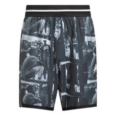 adidas adidas Crazy Lite AOP Short Funktionsshorts Herren White / Black