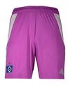 adidas Hamburger SV Torwartshort 2025/2026 Fu&szlig;ballshorts Herren - lila