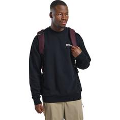 Rückansicht von Jack Wolfskin Rucksack TERRACADE Daypack amaranth