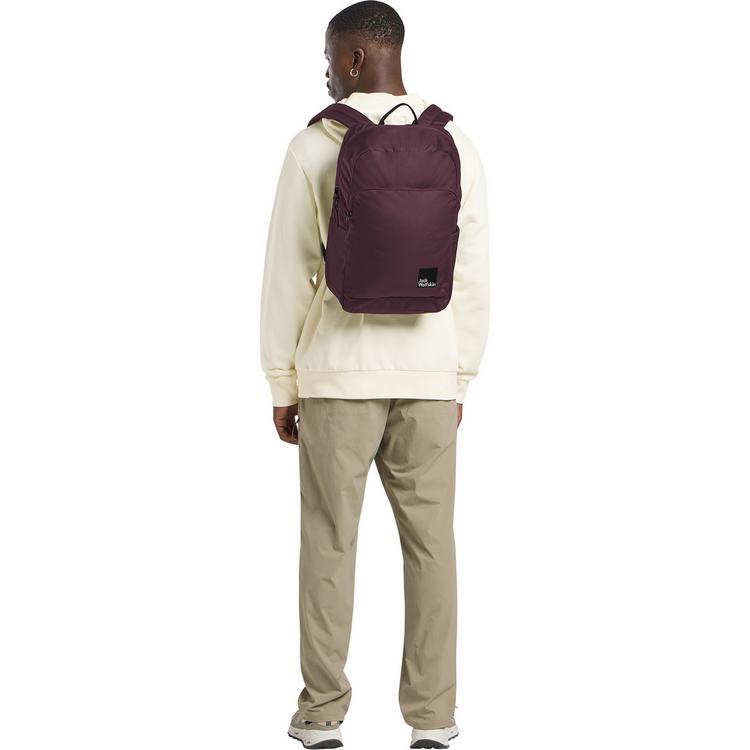 Jack Wolfskin Jack Wolfskin TERRAVIEW Daypack - amaranth - 2 | SportScheck