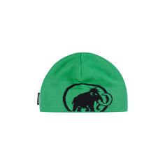 Mammut Tweak Beanie pinea-black