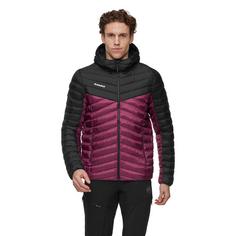 Rückansicht von Mammut Albula Hooded Kunstfaserjacke Herren vin-black